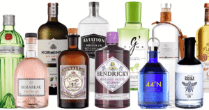 Gin Spirit drinks Wholesale Supplier